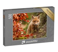 puzzleYOU : Puzzle de 500 pièces « Jeune Renard Curieux »