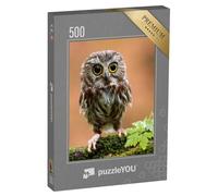 puzzleYOU : Puzzle de 500 pièces « L'adorable bébé Hibou »