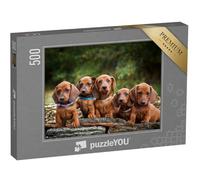 puzzleYOU : Puzzle de 500 pièces « Les Chiots teckels sont des Animaux adorables »