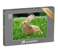 puzzleYOU : Puzzle de 500 pièces « Les Lapins dans la Nature »