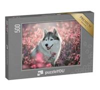 puzzleYOU : Puzzle de 500 pièces « Magnifique Husky dans Un Champ en Fleurs »