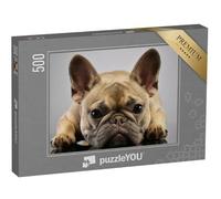 puzzleYOU : Puzzle de 500 pièces « Portrait d'un Adorable Bouledogue français »