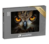 puzzleYOU : Puzzle de 500 pièces « Portrait d'une Chouette »