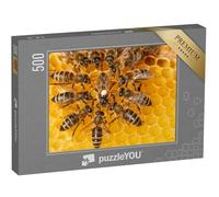puzzleYOU : Puzzle de 500 pièces « Reine des Abeilles entourée d'ouvrières »