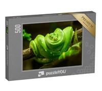 puzzleYOU : Puzzle de 500 pièces « Serpent Vert sur la Branche »