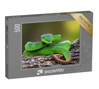 puzzleYOU : Puzzle de 500 pièces « Trimisurus albolabris, Serpent Vert sur Branche »