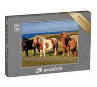 puzzleYOU : Puzzle de 500 pièces « Trois poneys Shetland sur la côte écossaise »