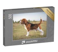 puzzleYOU : Puzzle de 500 pièces « Un Beagle prêt à chasser »