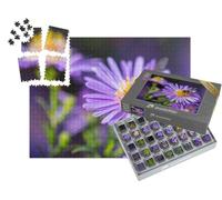 puzzleYOU : Smart Sorted® | Puzzle Photo 1000 pièces « Abeille sur Une Fleur Violette »