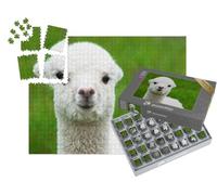 puzzleYOU : Smart Sorted® | Puzzle Photo 1000 pièces « Adorable bébé alpaga Blanc »