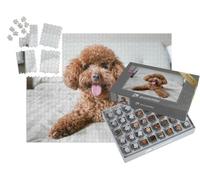 puzzleYOU : Smart Sorted® | Puzzle Photo 1000 pièces « Adorable Caniche en Peluche sur Le lit »