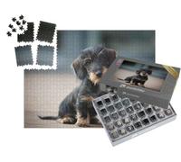 puzzleYOU : Smart Sorted® | Puzzle Photo 1000 pièces « Adorable Chiot Teckel Nain à Poil Dur »