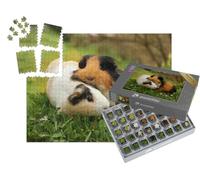 puzzleYOU : Smart Sorted® | Puzzle Photo 1000 pièces « Amis des cochons d'Inde »