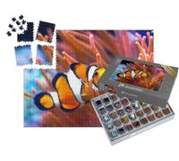 puzzleYOU : Smart Sorted® | Puzzle Photo 1000 pièces « Amphiprion ocellaris, Poisson-Clown, mer »