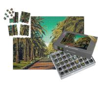 puzzleYOU : Smart Sorted® | Puzzle Photo 1000 pièces « Ascension avec Palmiers sur la Croisette à Cannes : palmeraie dans la roseraie »
