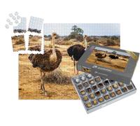 puzzleYOU : Smart Sorted® | Puzzle Photo 1000 pièces « Autruche Femelle et mâle dans la région Semi-désertique, Cap-Occidental en Afrique du Sud »