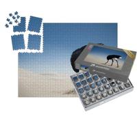 puzzleYOU : Smart Sorted® | Puzzle Photo 1000 pièces « Autruche se cachant la tête dans Le Sable, Parc National de Tsavo East, Kenya, Afrique »
