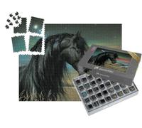 puzzleYOU : Smart Sorted® | Puzzle Photo 1000 pièces « Balade étoilée au Pays des Merveilles »