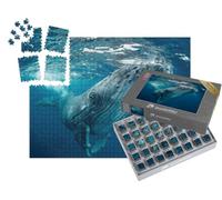 puzzleYOU : Smart Sorted® | Puzzle Photo 1000 pièces « Baleines, Tonga »
