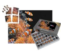 puzzleYOU : Smart Sorted® | Puzzle Photo 1000 pièces « Banc de Poissons-Clowns Standard et Un Poisson Multicolore »