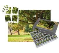 puzzleYOU : Smart Sorted® | Puzzle Photo 1000 pièces « Banc sous Un Arbre Ancien dans Les Royal Botanic Gardens, Londres »