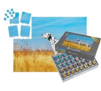 puzzleYOU : Smart Sorted® | Puzzle Photo 1000 pièces « Beau Dalmatien dans Un Champ »