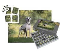 puzzleYOU : Smart Sorted® | Puzzle Photo 1000 pièces « Beau Paysage avec Un Dogue Allemand »