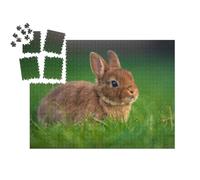 puzzleYOU : Smart Sorted® | Puzzle Photo 1000 pièces « Bébé Lapin sur l'herbe Verte »