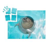 puzzleYOU : Smart Sorted® | Puzzle Photo 1000 pièces « Bébé Phoque, détendu dans l'eau »