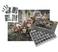 puzzleYOU : Smart Sorted® | Puzzle Photo 1000 pièces « Bébés singes Curieux, Lopburi, Thaïlande »