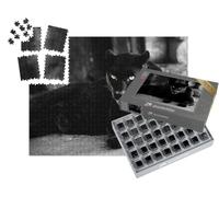 puzzleYOU : Smart Sorted® | Puzzle Photo 1000 pièces « Belle panthère Noire »