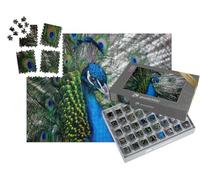 puzzleYOU : Smart Sorted® | Puzzle Photo 1000 pièces « Belle tête de Paon »