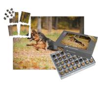 puzzleYOU : Smart Sorted® | Puzzle Photo 1000 pièces « Berger Allemand Jouant en Automne »