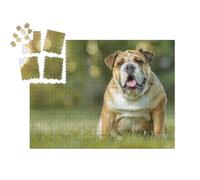 puzzleYOU : Smart Sorted® | Puzzle Photo 1000 pièces « Bouledogue Anglais »
