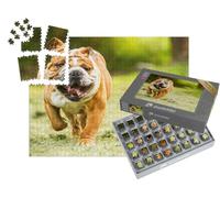 puzzleYOU : Smart Sorted® | Puzzle Photo 1000 pièces « Bouledogue dans Une Prairie »