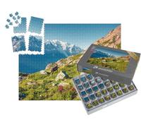 puzzleYOU : Smart Sorted® | Puzzle Photo 1000 pièces « Bouquetin des Alpes sur Fond de Mont-Blanc dans Le Parc Naturel du Vallon de Bérard, Chamonix, Alpes Grises »