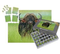 puzzleYOU : Smart Sorted® | Puzzle Photo 1000 pièces « Buffle d'Afrique dans Le Delta de l'Okavango, Botswana »