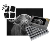 puzzleYOU : Smart Sorted® | Puzzle Photo 1000 pièces « Buffle d'Afrique, Parc National de Tsavo Est »