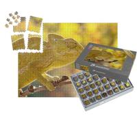 puzzleYOU : Smart Sorted® | Puzzle Photo 1000 pièces « Caméléon commun, Chamaeleo chamaeleon, Turquie »