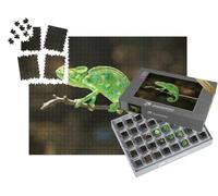 puzzleYOU : Smart Sorted® | Puzzle Photo 1000 pièces « Caméléon d'Asie du Sud, Chamaeleo zeylanicus »
