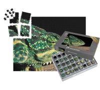 puzzleYOU : Smart Sorted® | Puzzle Photo 1000 pièces « Caméléon Indien, Inde »