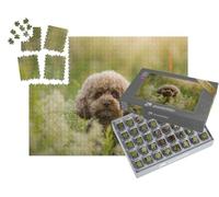 puzzleYOU : Smart Sorted® | Puzzle Photo 1000 pièces « Caniche Miniature dans Une Prairie d'été »