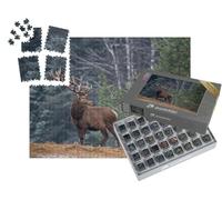 puzzleYOU : Smart Sorted® | Puzzle Photo 1000 pièces « Cerf Fier avec de Grands Bois, Seul dans la forêt »