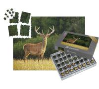 puzzleYOU : Smart Sorted® | Puzzle Photo 1000 pièces « Cerf Rouge dans la lumière du Soir, à l'arrière-Plan Une forêt »