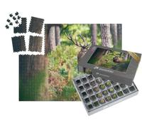 puzzleYOU : Smart Sorted® | Puzzle Photo 1000 pièces « Cerf Rouge Entre Les fougères dans la forêt d'automne »