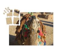 puzzleYOU : Smart Sorted® | Puzzle Photo 1000 pièces « Chameau dromadaire Devant Le Sable du désert Chaud, Égypte, Sinaï »