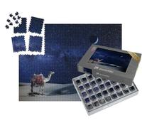 puzzleYOU : Smart Sorted® | Puzzle Photo 1000 pièces « Chameau Solitaire sous Le Ciel étoilé du désert »