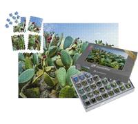 puzzleYOU : Smart Sorted® | Puzzle Photo 1000 pièces « Champ de Cactus près de Mexico »