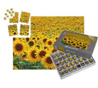 puzzleYOU : Smart Sorted® | Puzzle Photo 1000 pièces « Champ de tournesols »