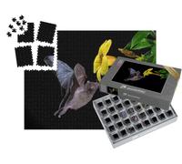 puzzleYOU : Smart Sorted® | Puzzle Photo 1000 pièces « Chauve-Souris à Longue Queue de Pallas se nourrissant de Nectar de Fleurs »